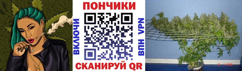 Канабис SATIVA & INDICA  Сельцо 